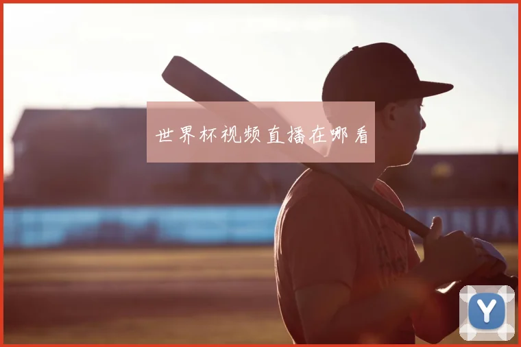 世界杯视频直播在哪看