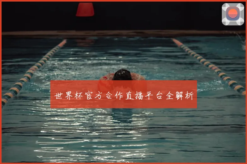 世界杯官方合作直播平台全解析
