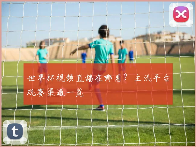 世界杯视频直播在哪看?主流平台观赛渠道一览