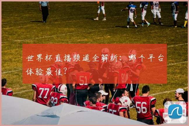 世界杯直播频道全解析：哪个平台体验最佳？