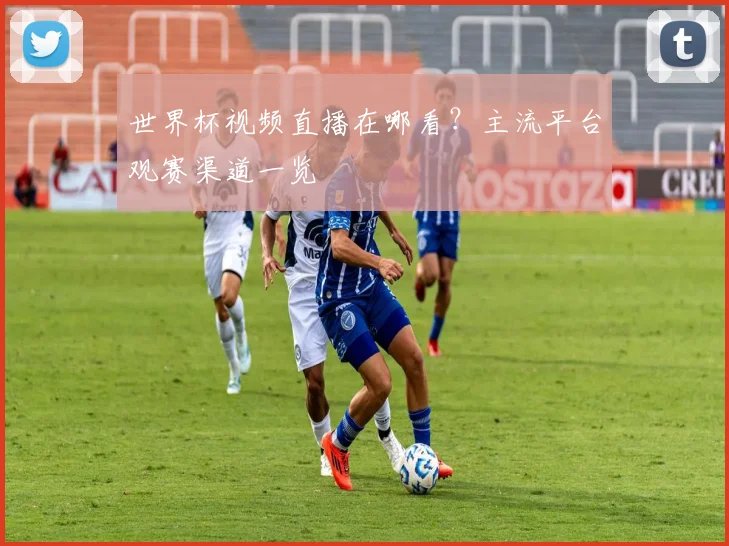 世界杯视频直播在哪看?主流平台观赛渠道一览