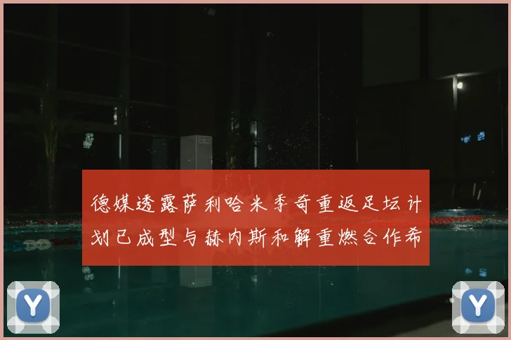 德媒透露萨利哈米季奇重返足坛计划已成型与赫内斯和解重燃合作希望