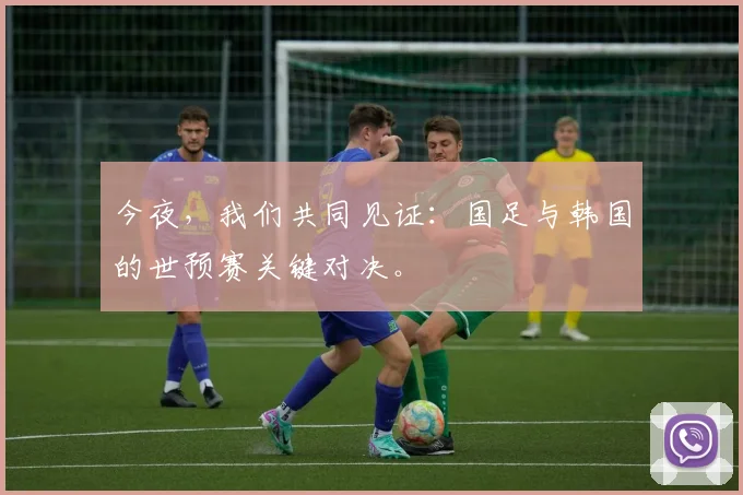 今夜，我们共同见证：国足与韩国的世预赛关键对决。