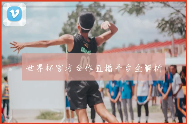 世界杯官方合作直播平台全解析