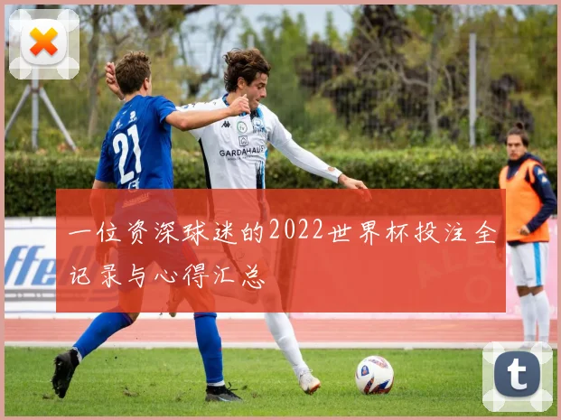 一位资深球迷的2022世界杯投注全记录与心得汇总