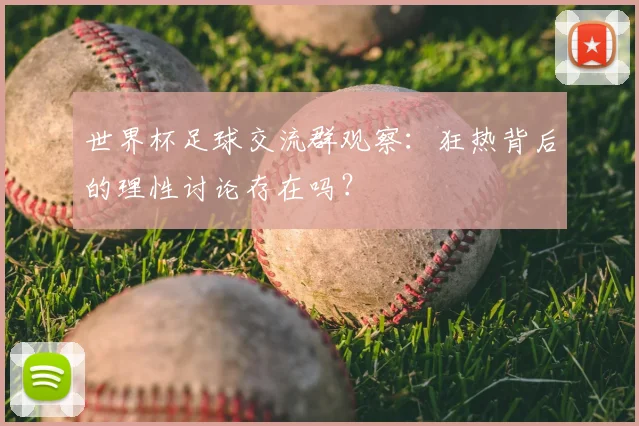 世界杯足球交流群观察：狂热背后的理性讨论存在吗？