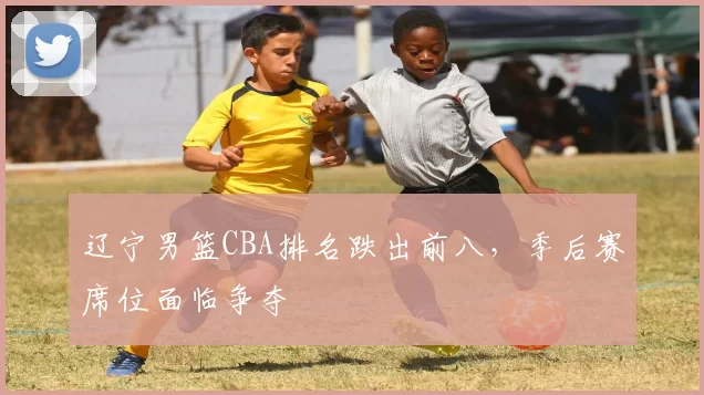 辽宁男篮CBA排名跌出前八,季后赛席位面临争夺