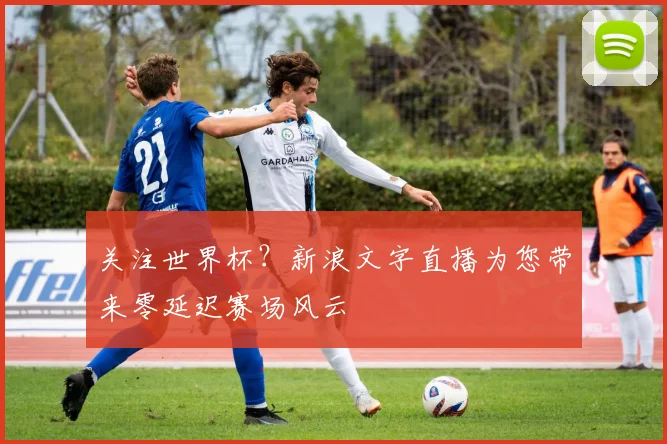 关注世界杯？新浪文字直播为您带来零延迟赛场风云
