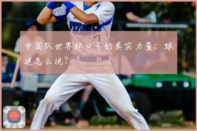 中国队世界杯口号的真实力量:球迷怎么说?