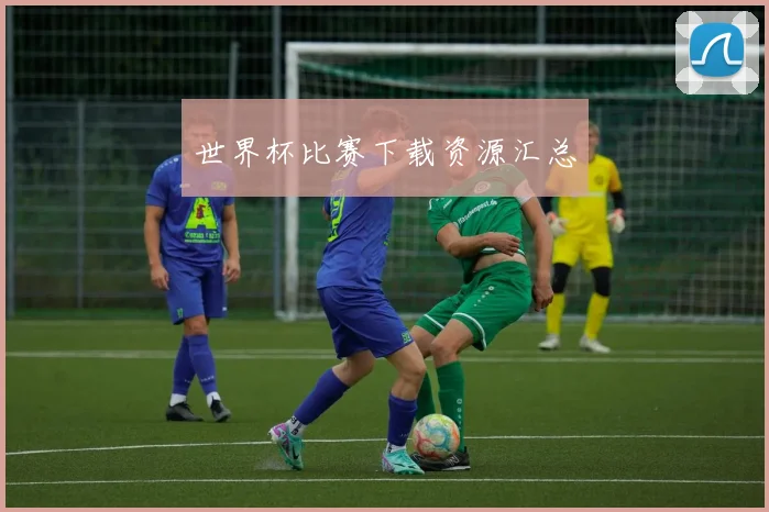 世界杯比赛下载资源汇总