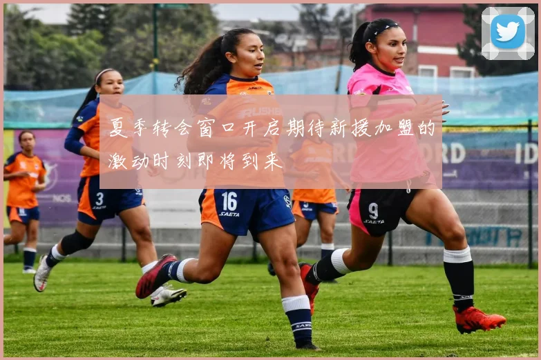 夏季转会窗口开启期待新援加盟的激动时刻即将到来