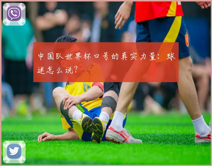 中国队世界杯口号的真实力量:球迷怎么说?