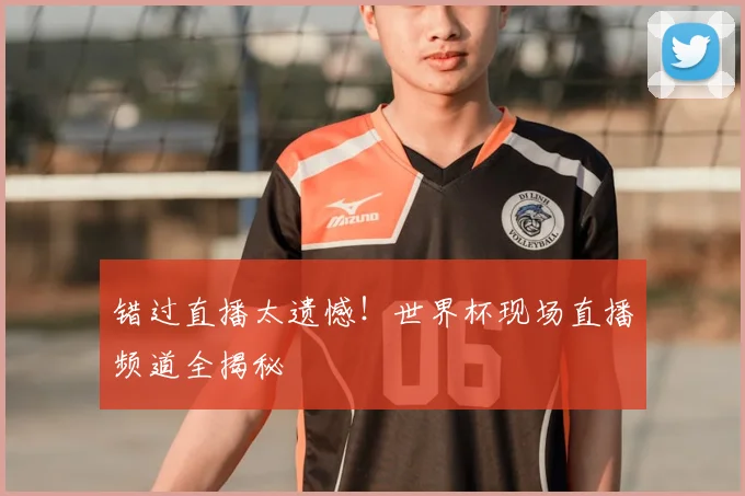 错过直播太遗憾！世界杯现场直播频道全揭秘