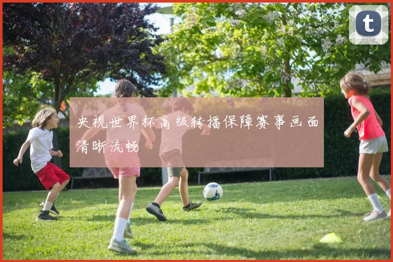 央视世界杯高级转播保障赛事画面清晰流畅