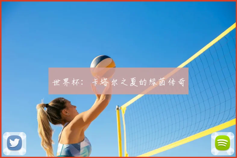 世界杯：卡塔尔之夏的绿茵传奇