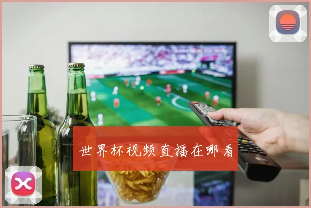 世界杯视频直播在哪看