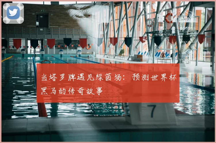 当塔罗牌遇见绿茵场：预测世界杯黑马的传奇故事