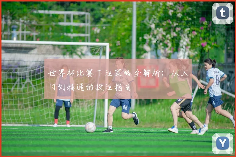 世界杯比赛下注策略全解析：从入门到精通的投注指南