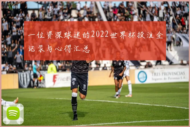 一位资深球迷的2022世界杯投注全记录与心得汇总