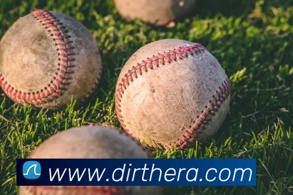 华体会体育平台生态图